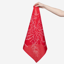 Load image into Gallery viewer, Topography Bandana
