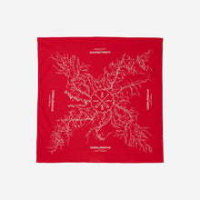 Load image into Gallery viewer, Topography Bandana
